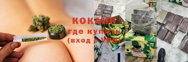 прущие грибы Белокуриха