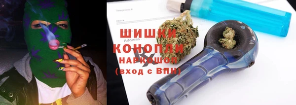 прущие грибы Белокуриха
