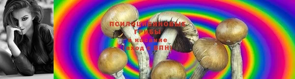 эйфоретик Беломорск