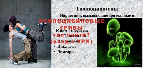 прущие грибы Белокуриха