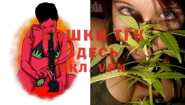 прущие грибы Белокуриха