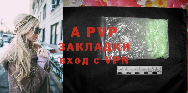 прущие грибы Белокуриха
