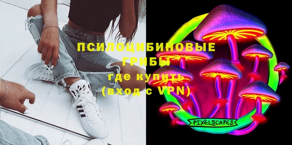 гидра Белоозёрский