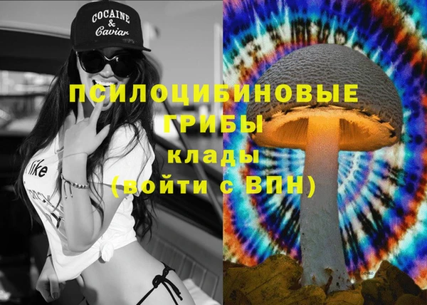 гидра Белоозёрский