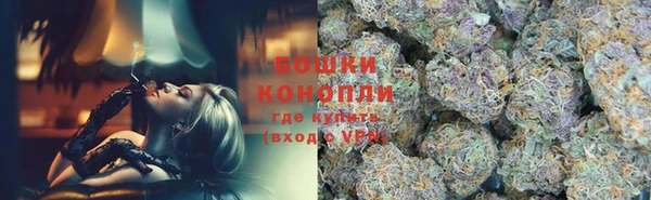 гидра Белоозёрский