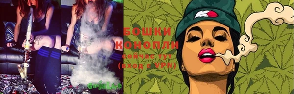 прущие грибы Белокуриха